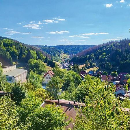 Werrapark Resort Ferienhaeuser Am Sommerberg Premium Masserberg Dış mekan fotoğraf